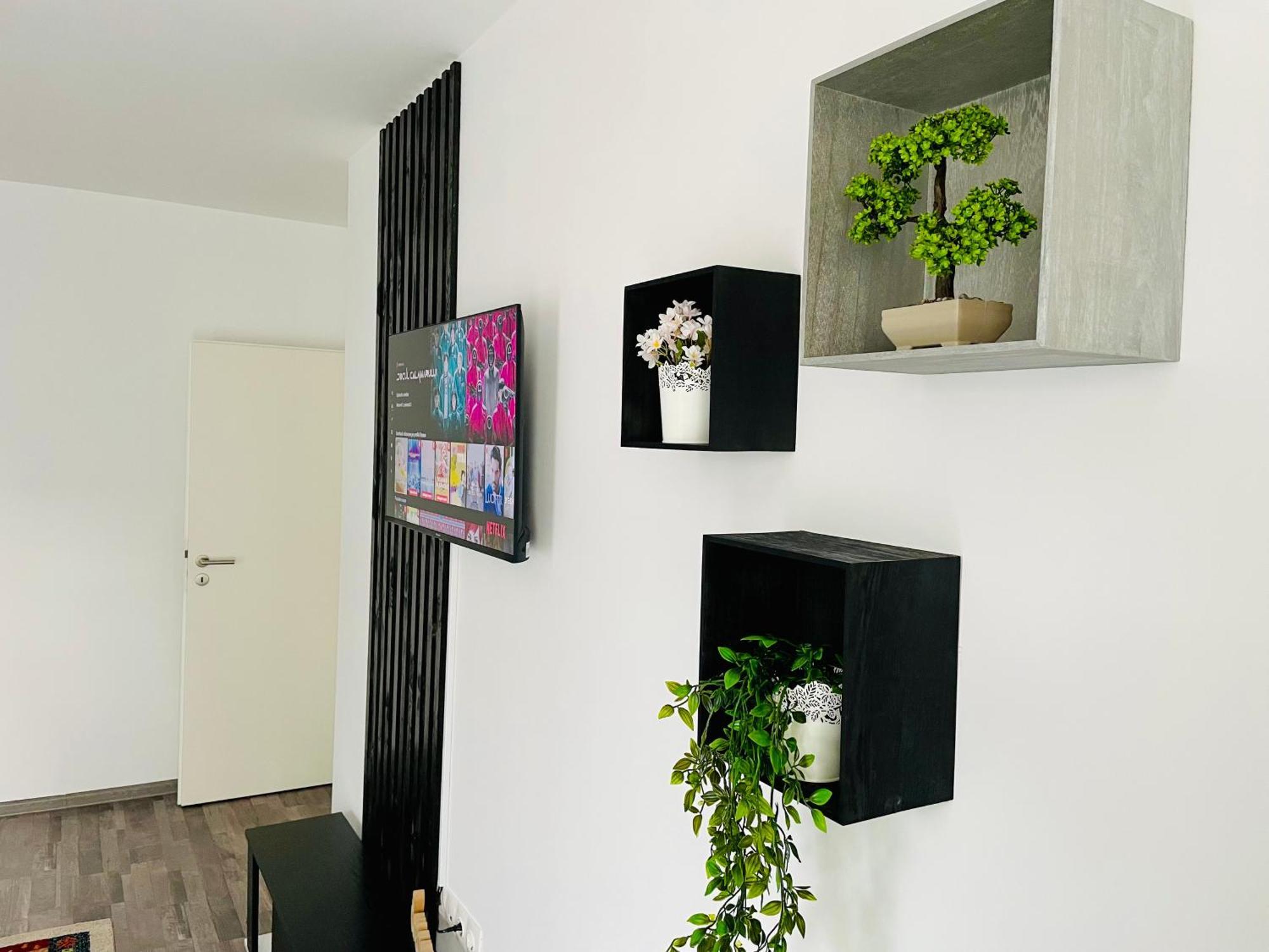 Montsee Brasov Apartment Exterior photo